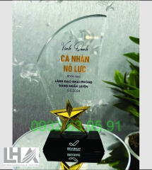 KỶ NIỆM CHƯƠNG - CÚP A001