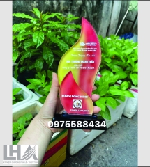 KỶ NIỆM CHƯƠNG - CÚP L020