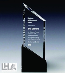 KỶ NIỆM CHƯƠNG - CÚP K101