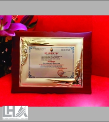 KỶ NIỆM CHƯƠNG - CÚP K081