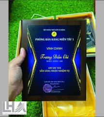 KỶ NIỆM CHƯƠNG - CÚP K110