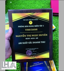 KỶ NIỆM CHƯƠNG - CÚP K112