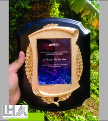 KỶ NIỆM CHƯƠNG - CÚP K113