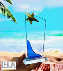 KỶ NIỆM CHƯƠNG - CÚP  K071