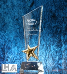 KỶ NIỆM CHƯƠNG - CÚP  K079