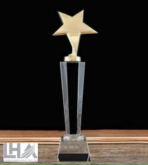 KỶ NIỆM CHƯƠNG - CÚP  K087