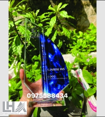 KỶ NIỆM CHƯƠNG - CÚP L006