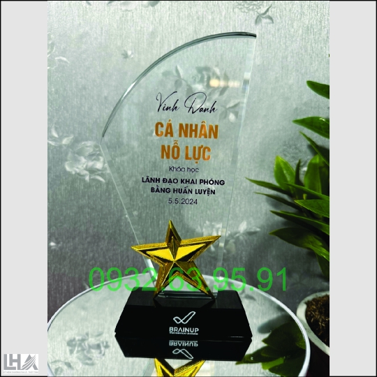 KỶ NIỆM CHƯƠNG - CÚP A001