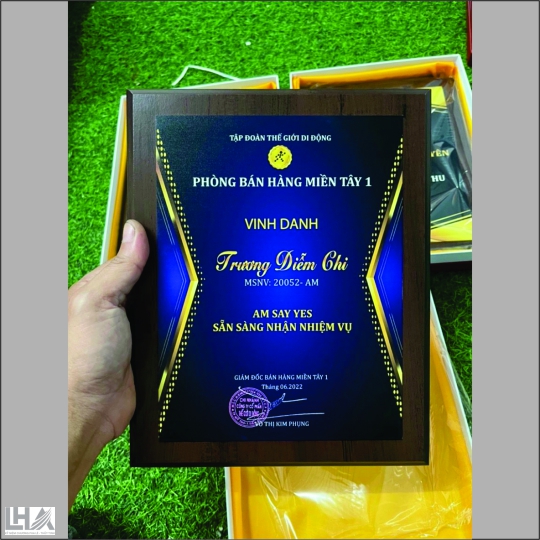 KỶ NIỆM CHƯƠNG - CÚP K110