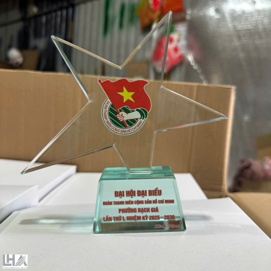 KỶ NIỆM CHƯƠNG - CÚP A006