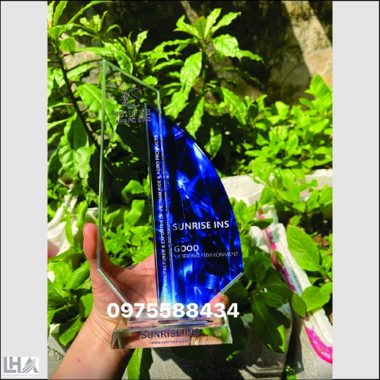 KỶ NIỆM CHƯƠNG - CÚP L006